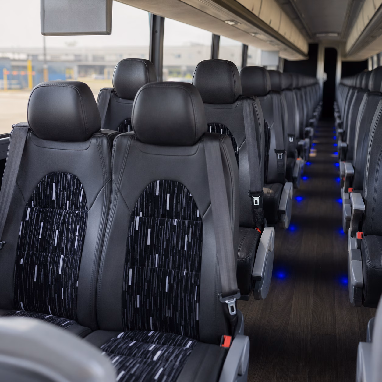 harvest season and weekend wine tour buses available