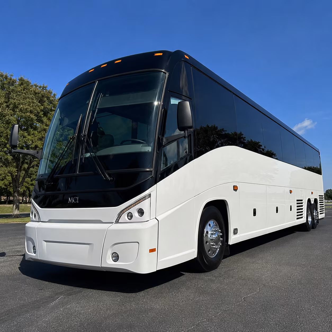 you can count on sanramoncharterbuscompany com for pilgrimage tours holy land trips and group airport transfers