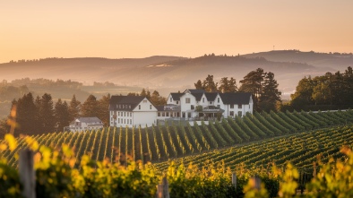 garre vineyard winery