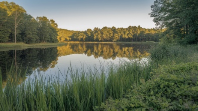 markham nature park and regional preserve