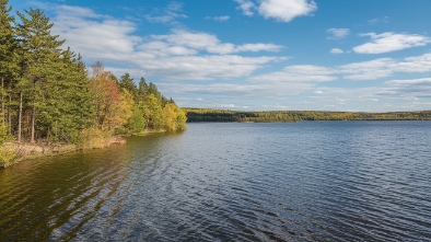 shoreline lake